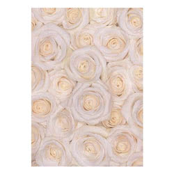 White Roses Greeting Card