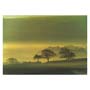 Misty Morning Greeting Card Small Image
