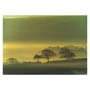 Misty Morning Greeting Card