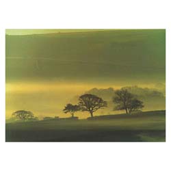 Misty Morning Greeting Card