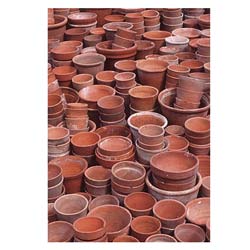 Photowrap Plant Pots Greeting Card