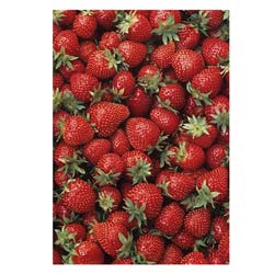 Photowrap Strawberries Greeting Card