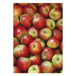 Photowrap Apples Greeting Card