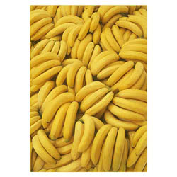 Photowrap Bananas Greeting Card