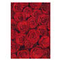Photowrap Red Roses Greeting Card 