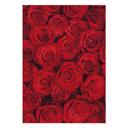 Red Roses Greeting Card