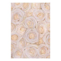 Photowrap White Roses Greeting Card