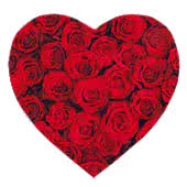 Valentines Day Roses, Flowers, Soft Toys and Chocolates for Nottingham|UK|International Delivery