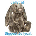 The Biggest Jellycat soft toys including Giant Bashful Cottontail Bunny, Toffee Puppy, Bashful Dino, Bashful Dragon and Bashful Black & Cream Puppy.