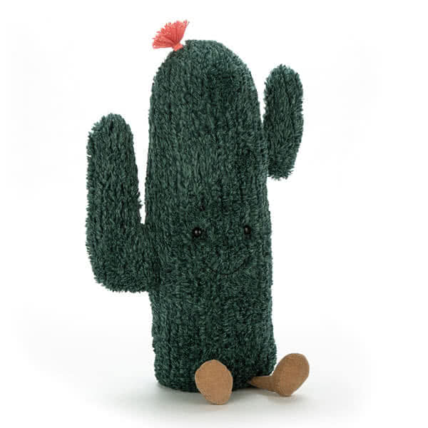 Amuseable Cactus