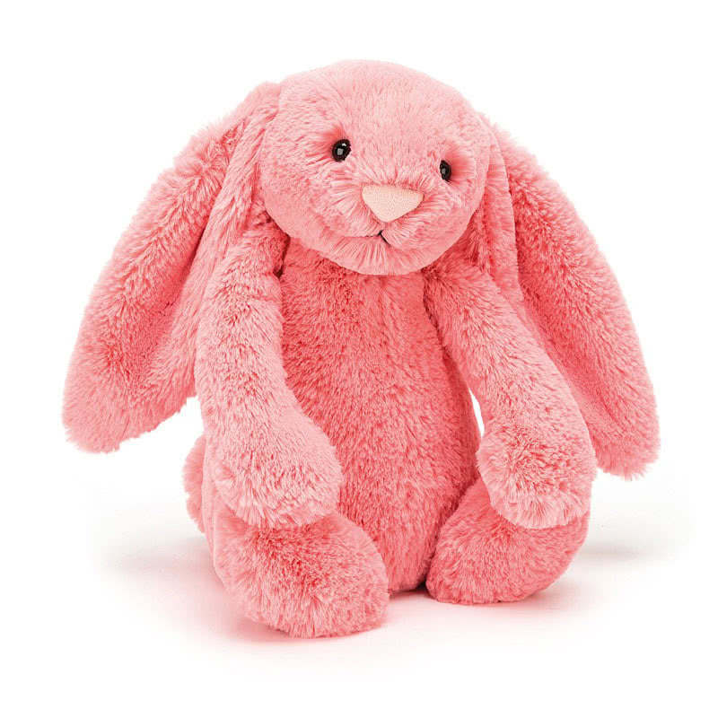 Bashful Coral Bunny