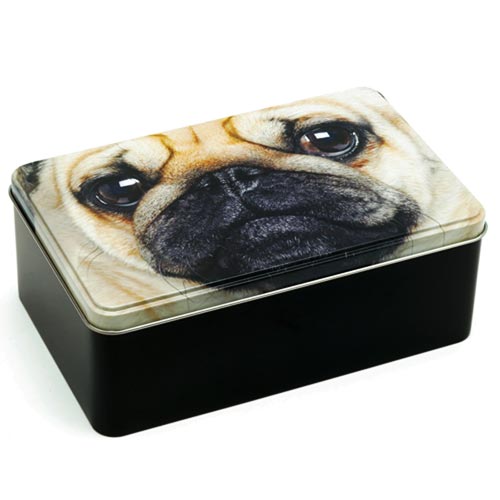 Pug Storage Tin