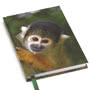 Squirrel Monkey A6 Journal Small Image