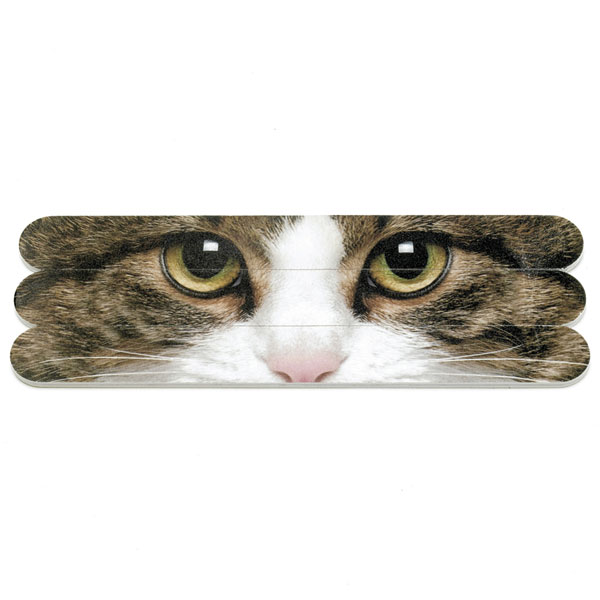 Tabby Cat Nail Files