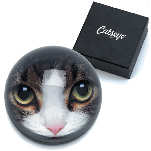 Tabby Cat Paperweight