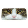 Tabby Cat iPhone Shell Small Image