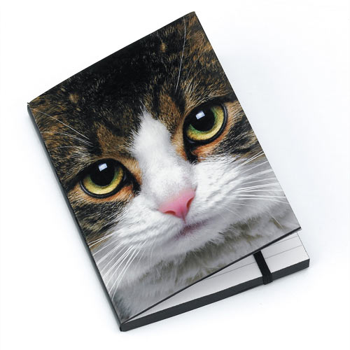 Tabby Cat A6 Notebook