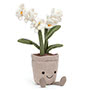 Amuseable Cream Orchid Small Image