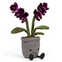Amuseable Orchid Small Image