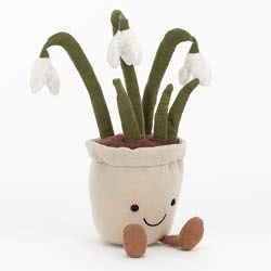 jellycat plant
