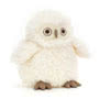 Apollo Owl  Small Image