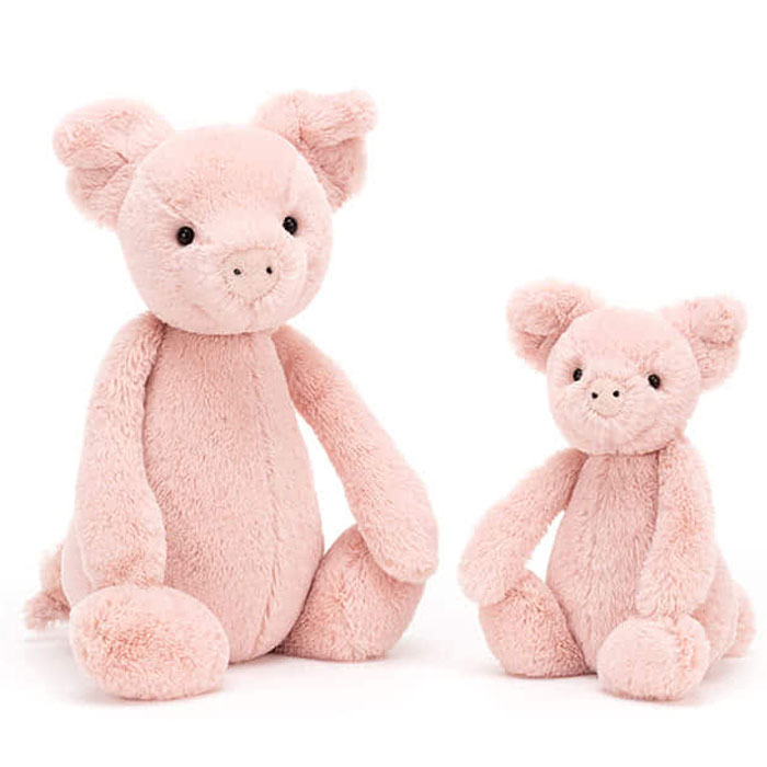 bashful piglet