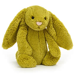 Bashful Zingy Bunny