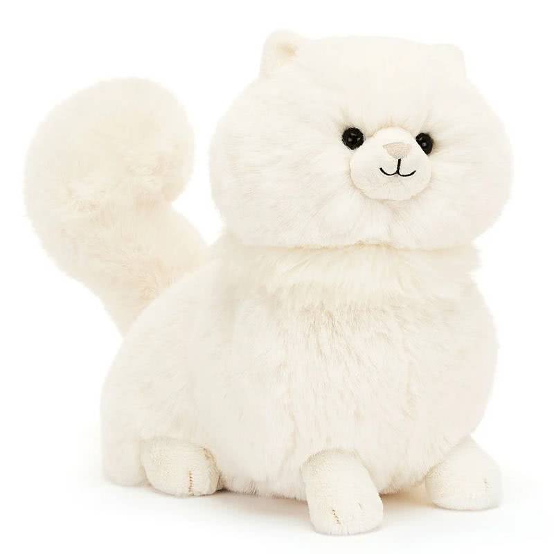 Carissa Persian Cat