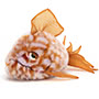 Jellycat Grumpy Fish Orange 