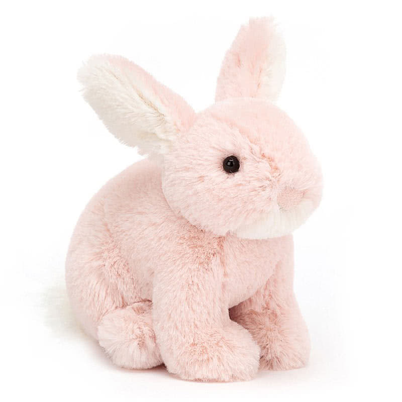 Minilop Rose Bunny