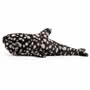 Jellycat Pebbles Whale Shark SSide