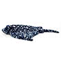 Jellycat Ripple Leopard Ray Side