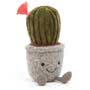 Silly Succulent Cactus Small Image