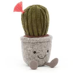 Silly Succulent Cactus