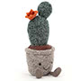 Silly Succulent Prickly Pear Cactus Small Image