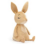 Sleepee Bunny