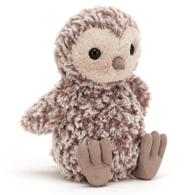 Torvill Owl Chick