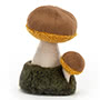 Wild Nature Boletus Mushroom 