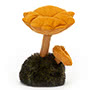 Wild Nature Chanterelle Mushroom Small Image