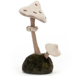 Wild Nature Parasol Mushroom
