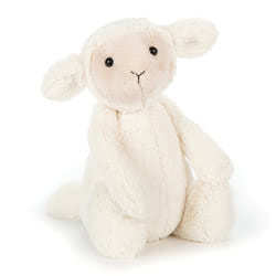 Bashful Lamb