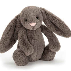 Bashful Truffle Bunny