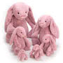 Jellycat Bashful Tulip Pink Bunny Group