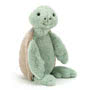 Bashful Turtle Small Image