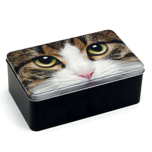 Tabby Cat Storage Tin