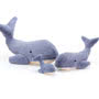 Jellycat Wilbur Whale Group