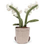 Jellycat Amuseable Cream Orchid Back