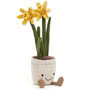 Amuseable Daffodil