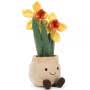 Amuseable Daffodil Pot