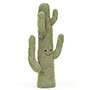 Amuseable Desert Cactus